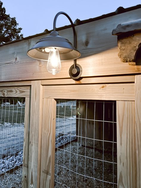 Greenhouse To Chicken Coop, Solar Light For Chicken Coop, Solar Barn Lights, Chicken Coop Solar Lights, Chicken Coop Lights, Chicken Coop Lighting, Solar Chicken Coop, Barnyard Chickens, Cluckingham Palace