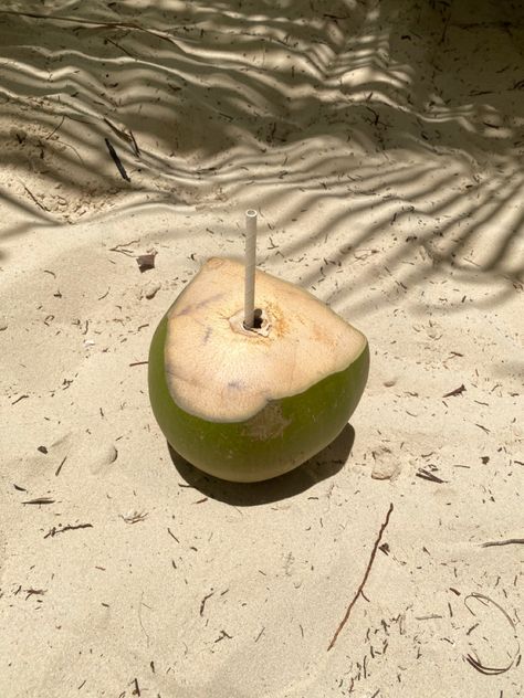 Coconut on sand Vintage Brazil, Punta Cana Beach, Inspiration Illustration, Brand Aesthetic, Pinterest Design, Vacation Mood, Tropical Summer, Jewelry Luxury, Ig Post