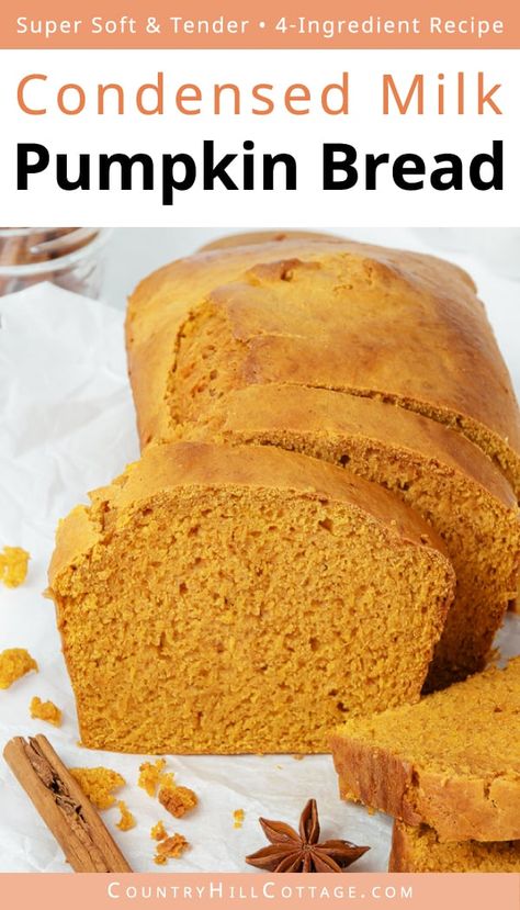 Pumpkin Bread With No Eggs, Pumpkin Bread With Canned Pumpkin, Pumpkin Bread Without Oil, Pumpkin Bread Without Eggs, Pumpkin Recipes Without Eggs, 3 Ingredient Pumpkin Bread, 2 Ingredient Pumpkin Bread, Pumpkin Breads, Bread Business