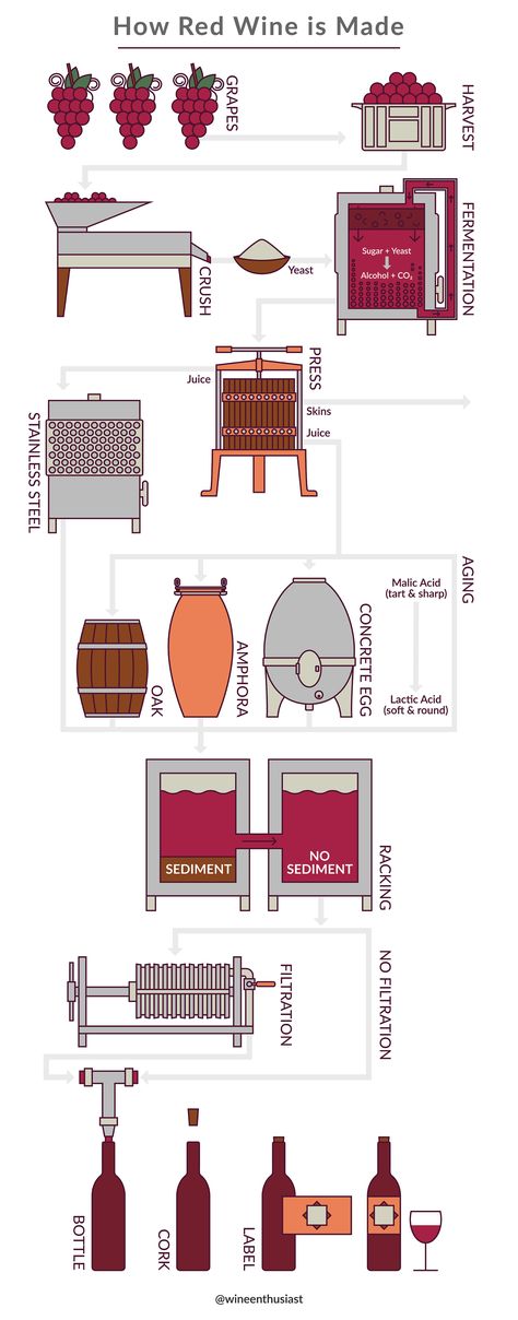 How Wine Is Made, Wine Production Process, Wine Process, Backyard Vineyard, Wine Infographic, How To Make Wine, Wine Basics, Wine Chart, Wine Cheese Pairing