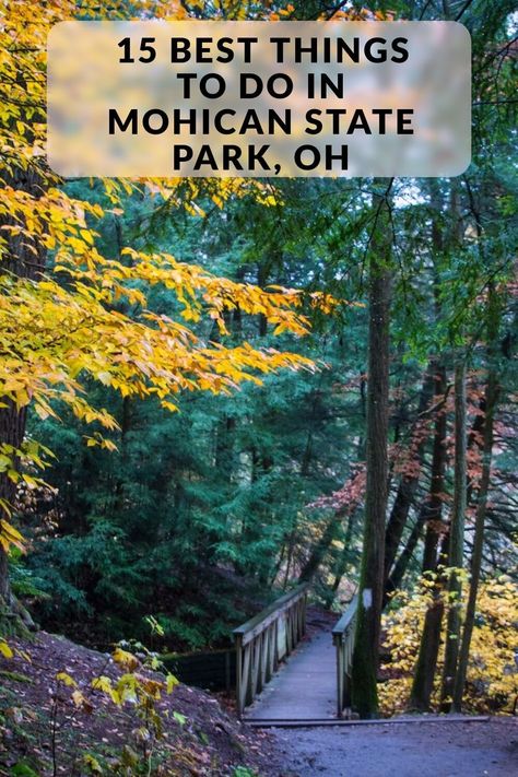 Discover the best things to do and top-rated attractions in Mohican State Park, OH, including Mohican Adventures Canoe Livery & Fun Center, and more! Mohican State Park Ohio, Pedal Boats, Catfish Fishing, Lake Park, Recreational Activities, Trail Maps, Nature Preserve, New Journey, Covered Bridges