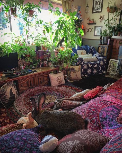 Witchcraft Plants, Dream Witch, Young Room, Dream Homestead, Future Decor, Hippie Bedroom Decor, Lots Of Plants, Pagan Decor, Forest Witch