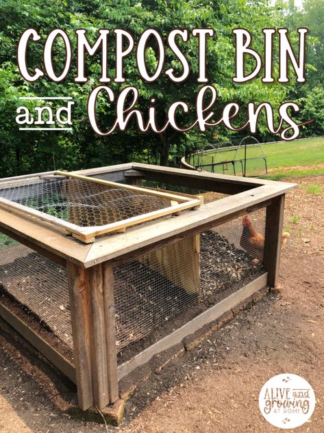 Backyard Compost Bin, Compost Bin In Chicken Run, Chicken Coop With Compost Bin, How To Make Your Own Compost Bin, Composting Bins Ideas, Chicken Coop Compost, Compost Pile In Chicken Run, Compost In Chicken Run, Chicken Poop Compost