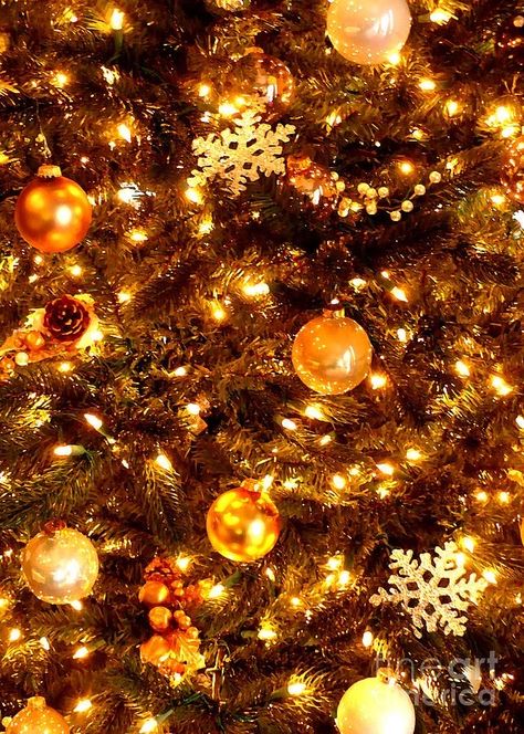 Yellow Christmas Aesthetic Wallpaper, Christmas Yellow Aesthetic, Orange Christmas Wallpaper, Yellow Christmas Aesthetic, Yellow Christmas Wallpaper, Orange Christmas Aesthetic, Gold Christmas Aesthetic, Golden Christmas Tree, Christmas Yellow