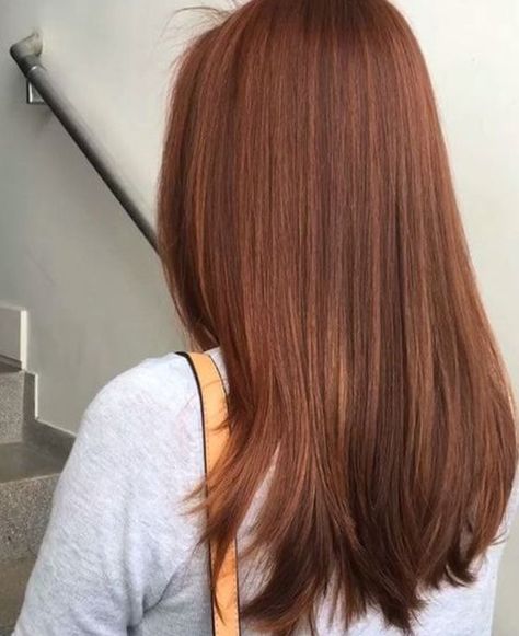 Copper Brown Hair, Dark Red Hair Color, Brown Ombre Hair, Ginger Hair Color, Red Brown Hair, Hair Color Auburn, Brown Hair Balayage, Trendy Hair Color, Hair Color Highlights