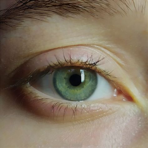 Jade Green Eyes, Eye References, Mood Gif, Rare Eye Colors, Rare Eyes, Verde Jade, Attractive Eyes, Mayfly, Emerald Eyes