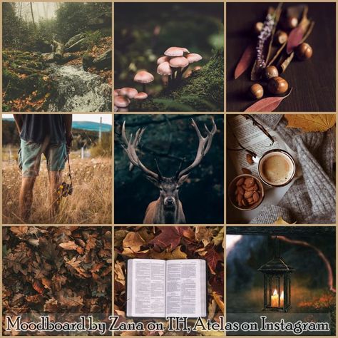 Roku Aesthetic, Deer Moodboard, Nature Moodboard, Colour Moodboard, Fursona Ideas, Fantasy Aesthetics, Forest Deer, Adopt Idea, Moodboard Ideas