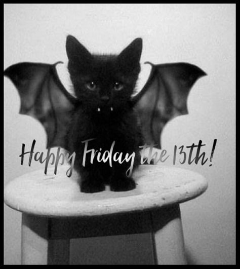 It’s Friday 13th, Happy Friday 13th Humor, Happy Friday The 13th Quotes, Friday The 13th Black Cat, Friday The 13th Quotes Funny, Happy Friday The 13th Funny, Friday The 13th Humor, Friday The 13 Quotes Funny, Funny Happy Friday