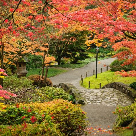 Washington Park Arboretum – Garden Review | Condé Nast Traveler Washington State Travel, Washington Park, Conde Nast Traveler, Tree Hugger, Natural Scenery, Best Hikes, Seattle Washington, Zen Garden, Autumn Trees