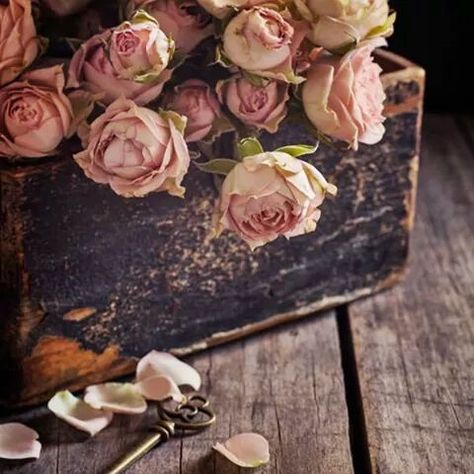 Drying Roses, Decoration Shabby, Rose Cottage, Flower Phone Wallpaper, Rose Wallpaper, Love Flowers, Pink Brown, Flowers Photography, Potpourri