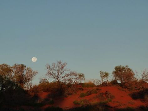 Wilderness Tattoo, Gibb River Road, Australia Landscape, Scared Of The Dark, Travel Preparation, Red Sand, Australian Outback, Outback Australia, Full Time Travel