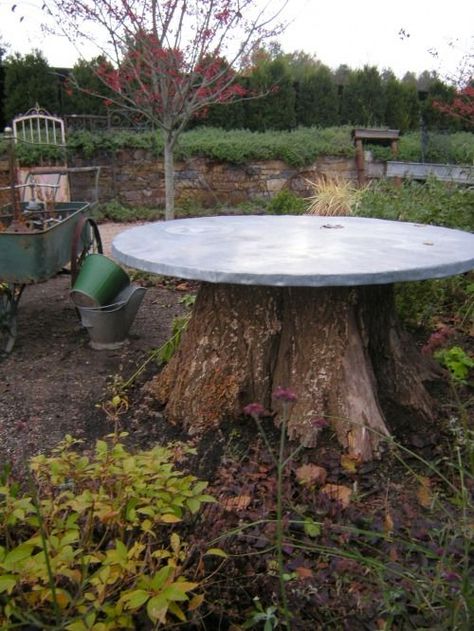 Tree Stump Ideas Outdoor, Tree Stump Ideas, Stump Ideas, Tree Stump Table, Large Backyard Landscaping, Stump Table, Tree Table, Large Tree, Large Backyard