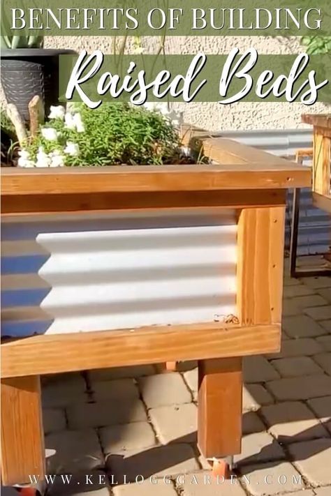 This corrugated metal and wood raised bed with legs is a fantastic and stunning garden addition that is loaded with gardening benefits. Learn how to build a raised bed with legs with Bridget and Evan for a lush, beautiful, and versatile gardening experience now and for years to come. #raisedbeds #raisedbedgardening #diygardening #diygardens Raised Garden Bed Metal, Raised Garden Beds With Legs Diy, How To Build A Raised Garden Bed Diy, Bed With Legs, Metal Garden Beds, Building Raised Beds, Raised Garden Bed Plans, Elevated Gardening, Diy Garden Bed