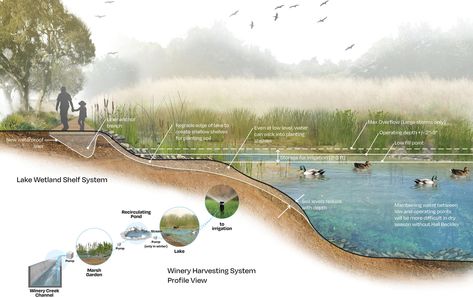 Masterplan Architecture, Landscape Diagram, Descanso Gardens, California Native Garden, Nursery Planning, Landscape Design Drawings, Landscape Architecture Drawing, Architecture Portfolio Design, Water Pond