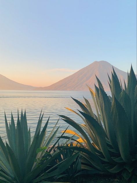 @luna_zorro guatemala nature Spotify Playlist Covers Mexican, Mexican Playlist Covers, Guatemala Aesthetic, Tropical Vibes, Nature Aesthetic, America Travel, Nature Photos, Beautiful World, Guatemala