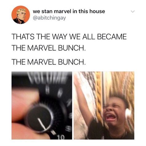 The Marvel Bunch, Avengers Song, Fangirl Aesthetic, Weird Ideas, Marvel Bunch, Funny Marvel, Hello Brother, In This House, Marvel Jokes