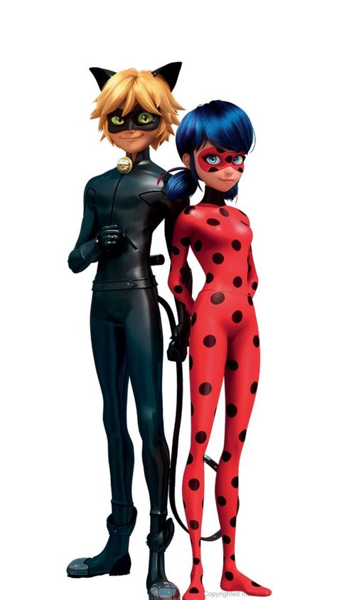 Anime Miraculous Ladybug, Miraculous Ladybug Party, Ladybug E Catnoir, Ladybug Und Cat Noir, Ladybug Birthday Party, Noir Color, Ladybug And Cat Noir, Ladybug Wallpaper, Ladybug Birthday