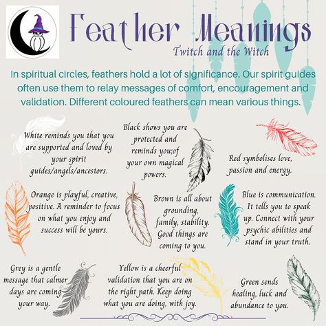 Different coloured feathers can be messages from your spirit guides. Meaning Of Feather Colors, Feather Colour Meaning, Messages From Spirit Guides, Feather Color Meaning Spiritual, Feather Spiritual Meaning, Gray Feather Spiritual Meaning, Brown And White Feather Spiritual Meaning, Feather Color Meaning, Black Feather Spiritual Meaning