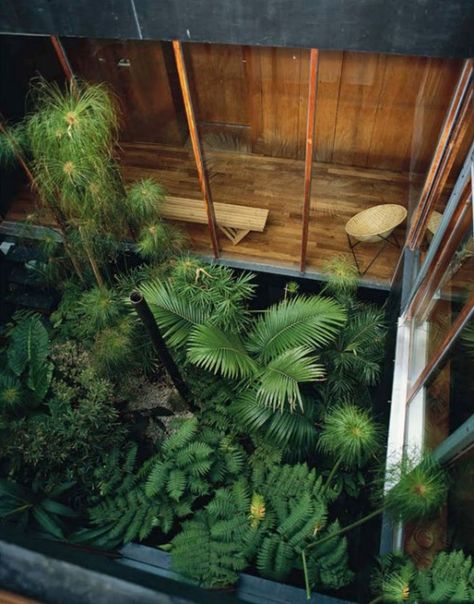 Inside Of A House, Tropical Patio, Taman Air, Internal Courtyard, Indoor Gardens, Landscape Designs, Patio Interior, Interior Garden, Courtyard Garden