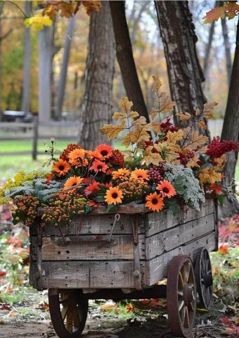 Outdoor Fall Decor Ideas, Outdoor Fall Decor, Fall Decor Ideas, Autumn Decorating, Fall Front Porch, Fall Outdoor Decor, Autumn Scenes, Fall Decorations Porch, Autumn Days