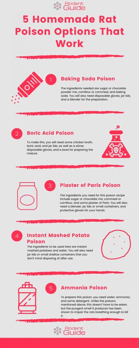 Rat Poison Diy, Rat Poison Diy Baking Soda, Homemade Rat Poison, Diy Baking Soda, Rat Poison, Boric Acid, Rodent Control, Pet Projects, Chocolate Powder