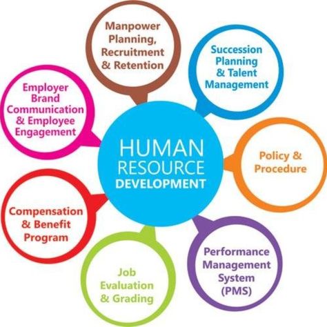 Every One Of Us Need A New Skill To Survive Human Resources Career, Recruitment Plan, Hr Consulting, Human Resource Development, Employer Branding, Program Management, Work Skills, Job Satisfaction, Brand Communication