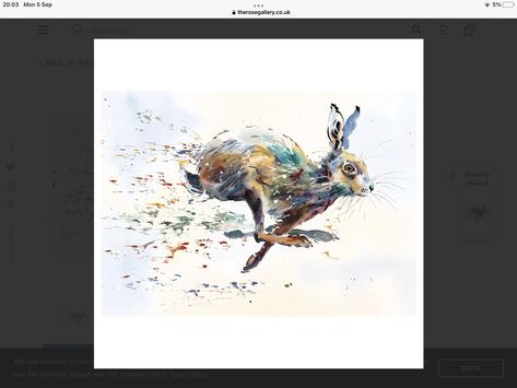 Hare Watercolour, Bloom And Wild, British Wildlife, Watercolor Artists, Animals Artwork, Limited Edition Art Print, Limited Edition Art, Watercolor Animals, Colorful Paintings