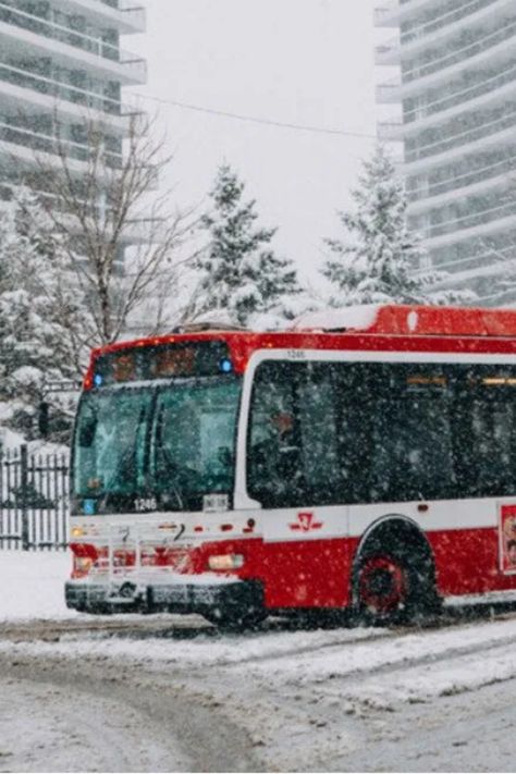 Click here☝️to know more! Toronto Transit Commission, Bus Route, Morning Commute, Time Travel, Click Here, Toronto