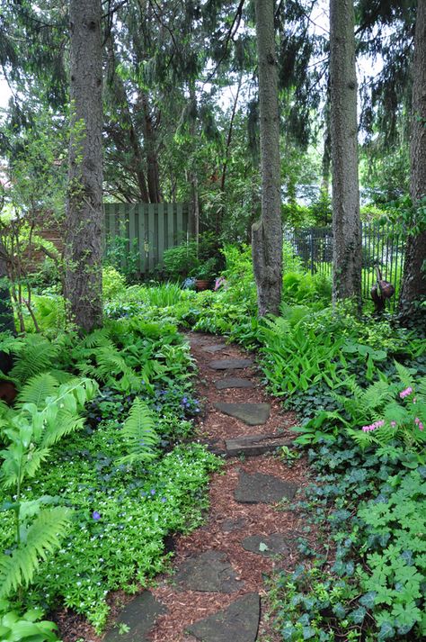 Shade Garden Design, Cottage Garden Design, Stone Path, Have Inspiration, Forest Garden, Woodland Garden, Garden Path, Garden Pathway, Natural Garden