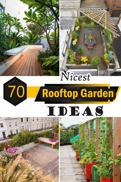 Ideas For Terrace Garden, Plant Terrace Ideas, Plants For Rooftop Roof Terraces, Roofdeck Garden Design, Garden Ideas Terrace, Balcony Garden Ideas Terraces, Nyc Terrace Ideas, Rooftop Garden Ideas Diy, Rooftop Terrace Plants