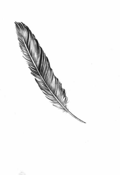 Feather around or beside pocket watch. Plume Tattoo, Quill Tattoo, Tattoo Feather, Feather Drawing, Feather Tattoo Design, Small Tattoos For Guys, Feather Tattoo, Line Art Tattoos, Feather Tattoos