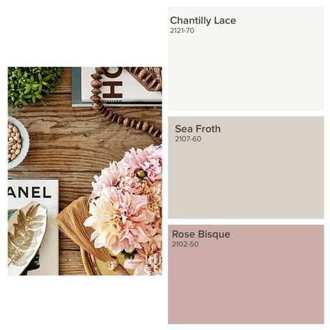 Bm Rose Bisque, Rose Silk Benjamin Moore, Benjamin Moore Rose Bisque, Benjamin Moore Mauve Blush, Rose Bisque Benjamin Moore, Dusty Rose Paint Color Benjamin Moore, Benjamin Moore Meadow Pink, Bm Pink Damask, Benjamin Moore Fairest Pink