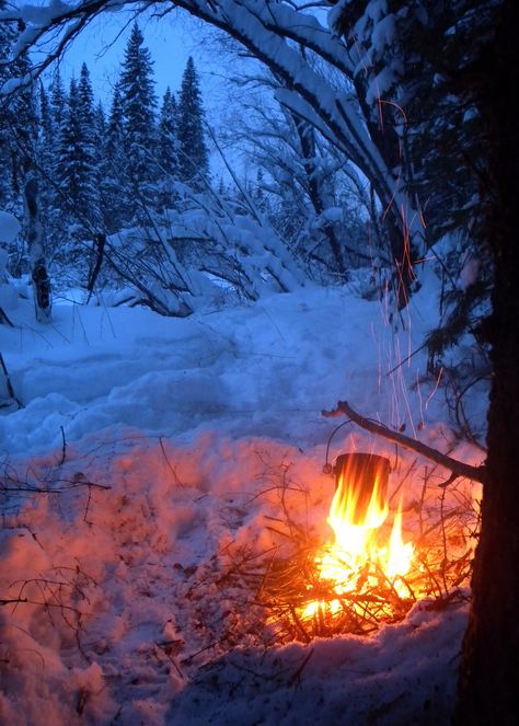 Winter Fire, I Love Winter, Snowy Forest, Winter Love, Winter Camping, Winter Magic, Winter Scenery, Winter Beauty, Snow Scenes