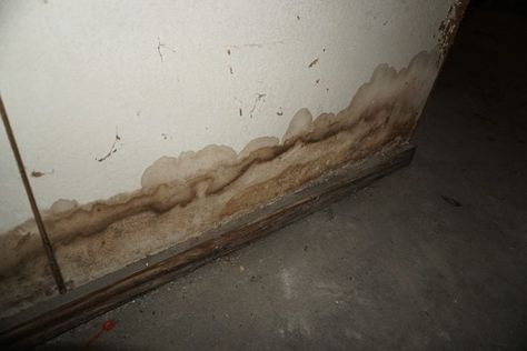 12 Tips for Fixing a Leaky Basement Basement Drainage, Waterproofing Basement Walls, Insulating Basement Walls, Leaky Basement, Concrete Block Foundation, Basement Diy, Foam Pipe Insulation, Basement Signs, Block Foundation