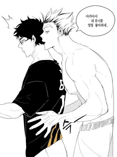 Haikyuu Bokuto, Bokuto Koutarou, Akaashi Keiji, Haikyuu Ships, Memes Anime, Haikyuu Manga, Haikyuu Characters, Haikyuu Fanart, Anime Ships