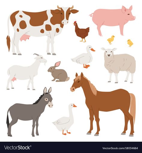 Different home farm animals and birds like Vector Image Vector Animals, Agriculture Animals, Farm Vector, Dinosaur Silhouette, Kids Cartoon Characters, Home Farm, Animal Illustration Art, Animals Farm, Farm Animal Birthday