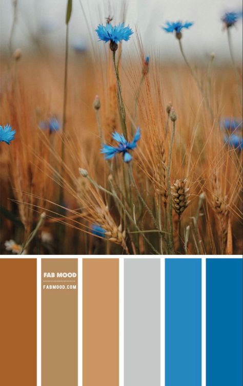 Cornflower blue to burnt orange in a muted palette with wheat. Wedding Colour Palettes, Fab Mood, Mood Wedding, Corn Flower, Wedding Colours, Wedding Colour, Color Schemes Colour Palettes, Nature Color Palette, Earth Tone Colors