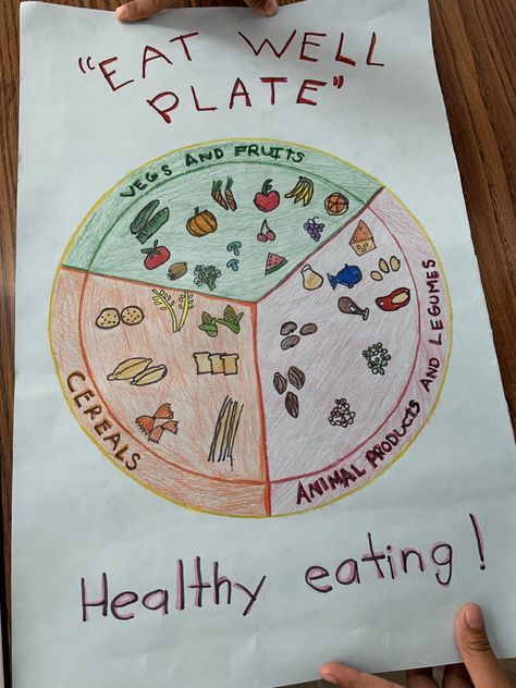 Eat well plate science homework Healthy Eating School Project, Balanced Diet Chart For School Project, Eat Well Plate, Preschool Food Crafts, Evs Project, Healthy Food Plate, Nursery Worksheet, Healthy Eating Posters, Balanced Diet Chart