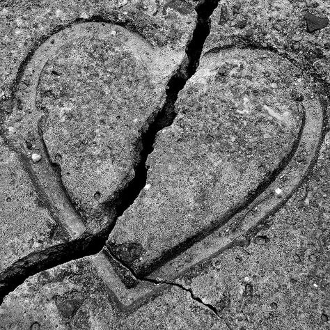 Hearts In Nature, Hearts Everywhere, Heart In Nature, Once Upon A Broken, Cocoppa Wallpaper, Be Still My Heart, I Love Heart, Broken Hearts, Heart To Heart