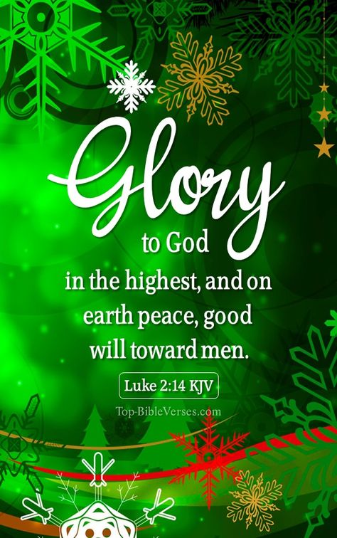 Bible Verse Images, Christmas Bible Verse, Trust Gods Timing, Luke 2 10, Best Christmas Wishes, Short Verses, Trust Gods Plan, Christmas Verses, Verse Images