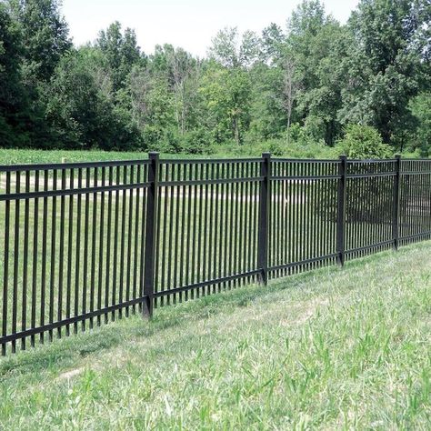 Freedom Heavy Duty Concord 5-ft H x 8-ft W Black Aluminum Flat-Top Decorative in the Metal Fence Panels department at Lowes.com Metal Fence Ideas Steel, Diy Metal Fence, Aluminum Fence Landscaping, Metal Fence Design, Metal Fence Ideas, Rod Iron Fences, Aluminum Fence Ideas, Decorative Fence Panels, Dandelion Light