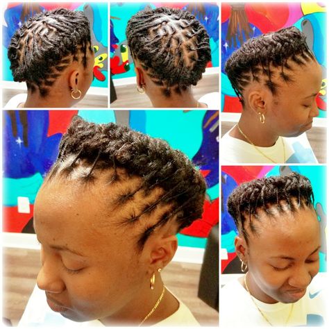 Halo Braid on Baby Locs Halo Braid With Locs, Loc Halo Crown, Loc Halo Crown Style, Halo Loc Styles For Women, Short Loc Styles, Braided Chignon, Short Dreads, Halo Braid, Halo Hair