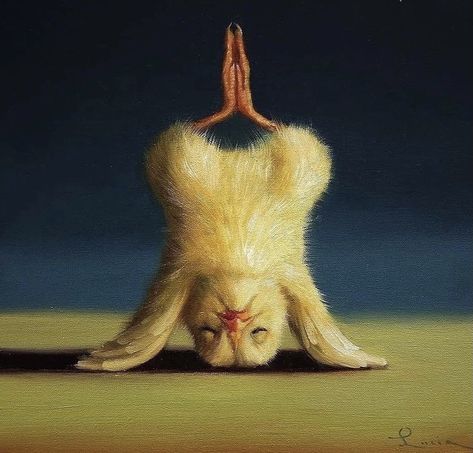 Poses Funny, Enya Umanzor, Chicken Illustration, Lucia Heffernan, Chicken Painting, Animal Illustration Art, Yoga Times, Kitten Pictures, Chicken Humor