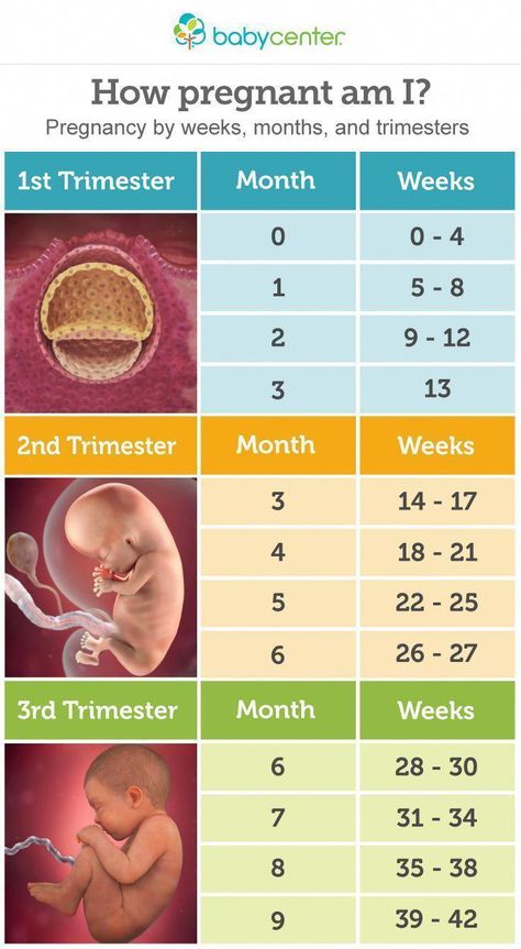 Pregnancy Chart, Vom Avea Un Copil, 5 Weeks Pregnant, Am I Pregnant, Pregnancy Info, 1st Trimester, Pregnancy Information, Baby Planning, Pregnancy Months