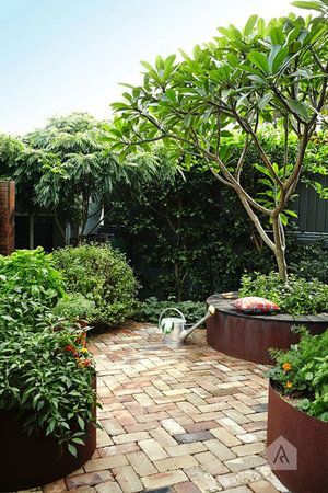 Urban Garden Design, Backyard Garden Layout, Small Courtyard Gardens, Sloped Garden, Australian Garden, Small Backyard Gardens, Potted Trees, Garden Photography, Backyard Garden Design