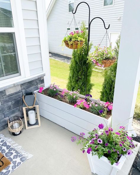 I love these flowers on my front porch so much! 💐 I can’t wait to make a decision on our back patio, so we can enjoy some back there too. 🥰 Budget Friendly Front Porch Ideas, Small Porch Curb Appeal, Simple Small Front Porch Ideas, Small Front Porch Flowers, Easy Front Porch Plants, Simple Spring Porch Decor, Front Porch With Bench Ideas, Small Front Porch Flower Pot Ideas, Front Step Decorating Ideas