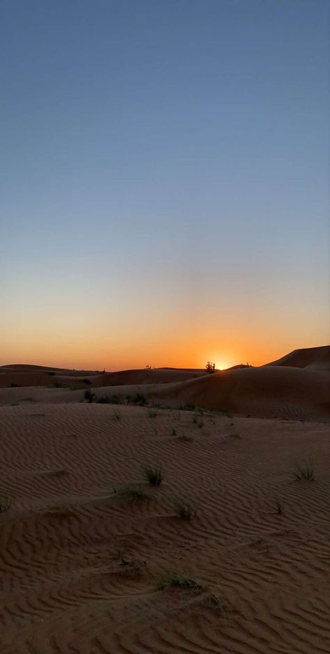 Arabian Desert Aesthetic, Sky Dubai, Egypt Aesthetic, Desert Aesthetic, Dubai Desert Safari, Dubai Vacation, Dubai Aesthetic, Aesthetic Pretty, Dubai Desert