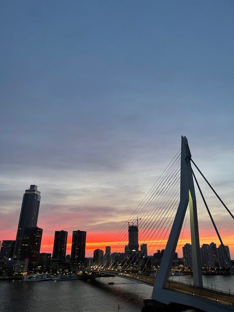 #Rotterdam #Citylights #sunset Rotterdam Aesthetic, Rotterdam Hotel, Netherlands Rotterdam, Rotterdam City, Rotterdam Skyline, Skyline Homes, Business Student, Rotterdam Netherlands, Eastern European