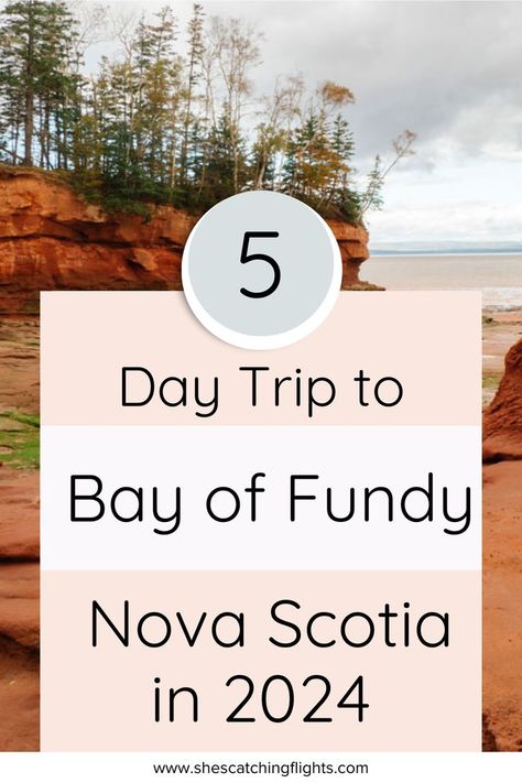 🌊 Dive into the wonders of Bay of Fundy Nova Scotia with our latest guide! Join us on a memorable day trip from Halifax, discovering hidden gems and local favorites. Don't miss out on this Nova Scotia adventure! 🚗🌲 #BayOfFundy #NovaScotia #DayTrip #HalifaxTravel #She'sCatchingFlights 🌅🇨🇦 Halifax Canada, Catching Flights, Trip To Canada, Bay Of Fundy, Princess Cruise, Jet Plane, A Perfect Day, I Am Here, Canada Travel