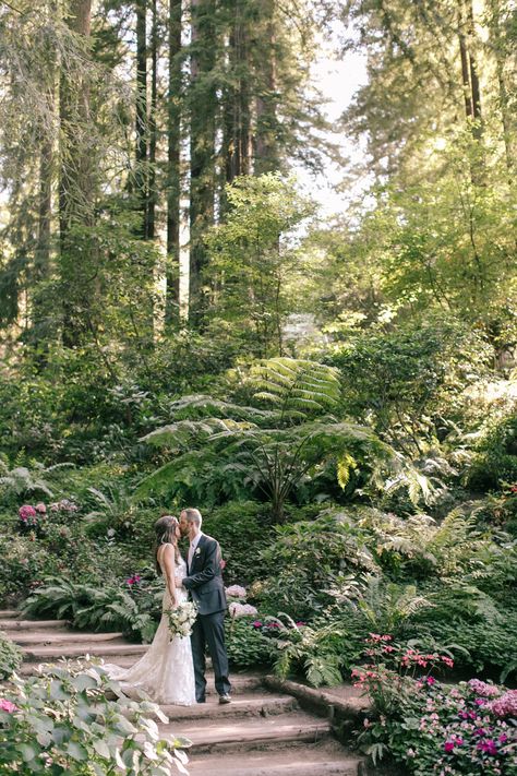 Elyse & Conor's Nestldown Wedding - Showit Blog Nestldown Wedding, Happy Wedding, Wedding Pics, Here Comes The Bride, Photography Inspo, The East, Love Birds, Happily Ever After, Ever After